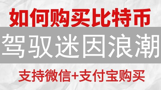 驾驭迷因浪潮：欧易SHIB交易实用指南与避坑策略